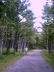 西ノ湖の帰り道